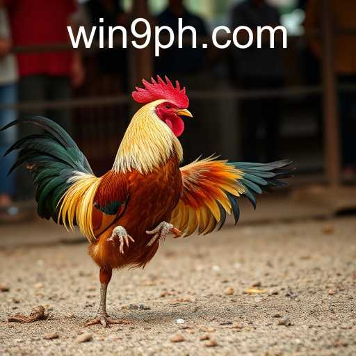 The Rise of Online Sabong: A Deep Dive into the 9ph Phenomenon